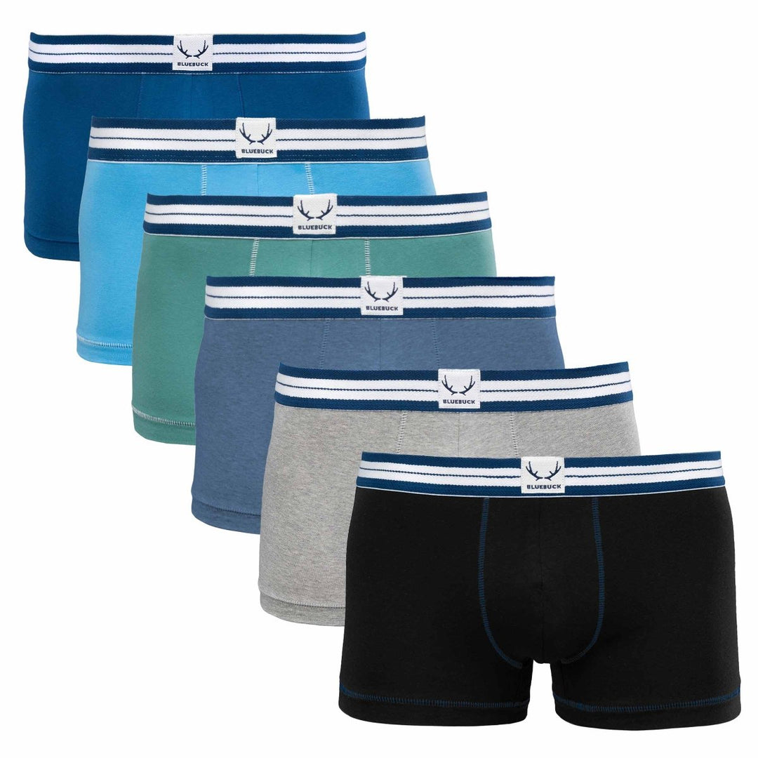 6 boxers homme classiques en coton bio - BLUEBUCK