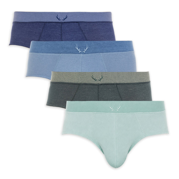 4 pairs of men's Tencel briefs - blue