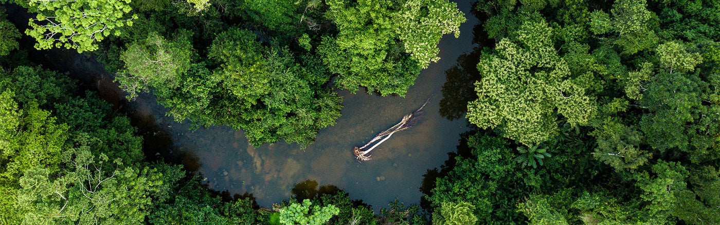 amazon-rainforest-peru-from-above