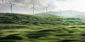 bluebuck wind turbine green fields