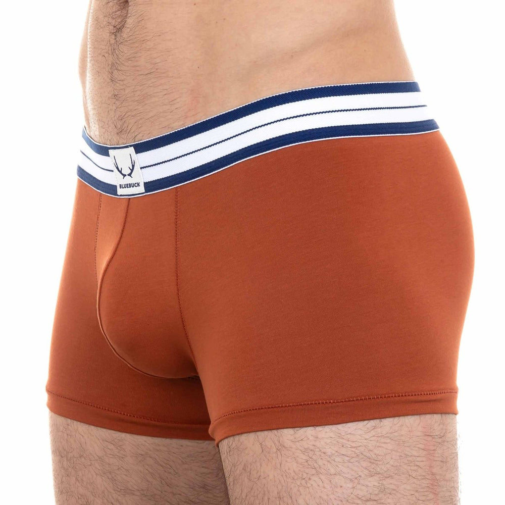 men's boxers in cotton or tencel - BLUEBUCK