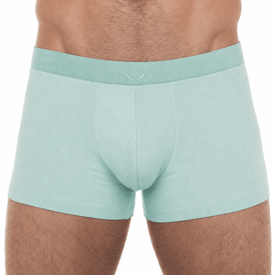 Boxer homme turquoise en Tencel - BLUEBUCK