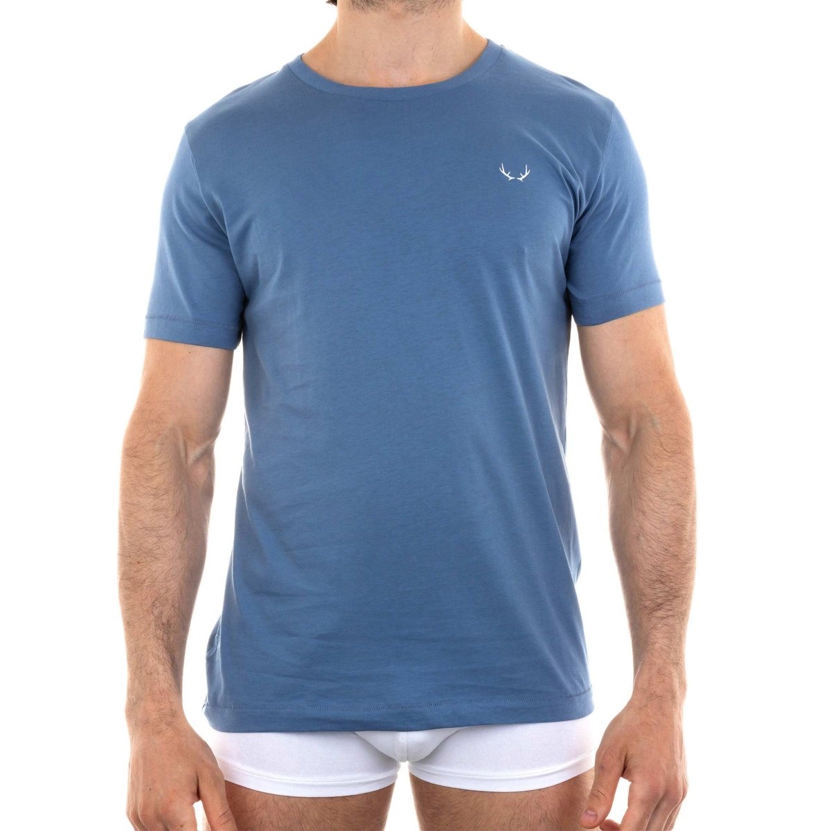 T - shirt homme col rond bleu lune en coton bio - BLUEBUCK