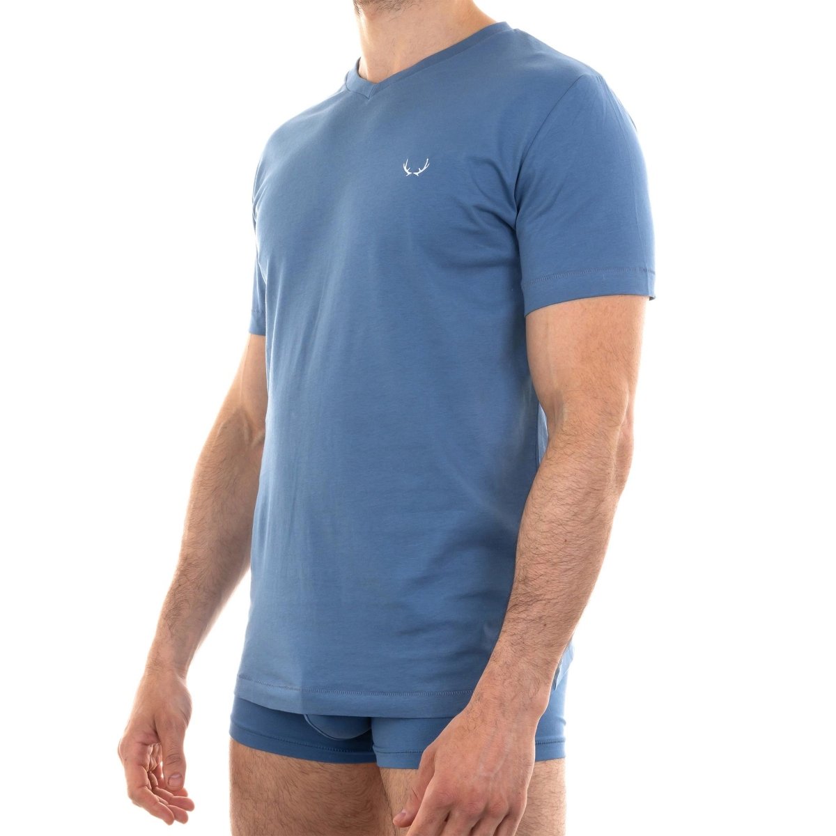 T - shirt homme col V bleu lune en coton bio - BLUEBUCK