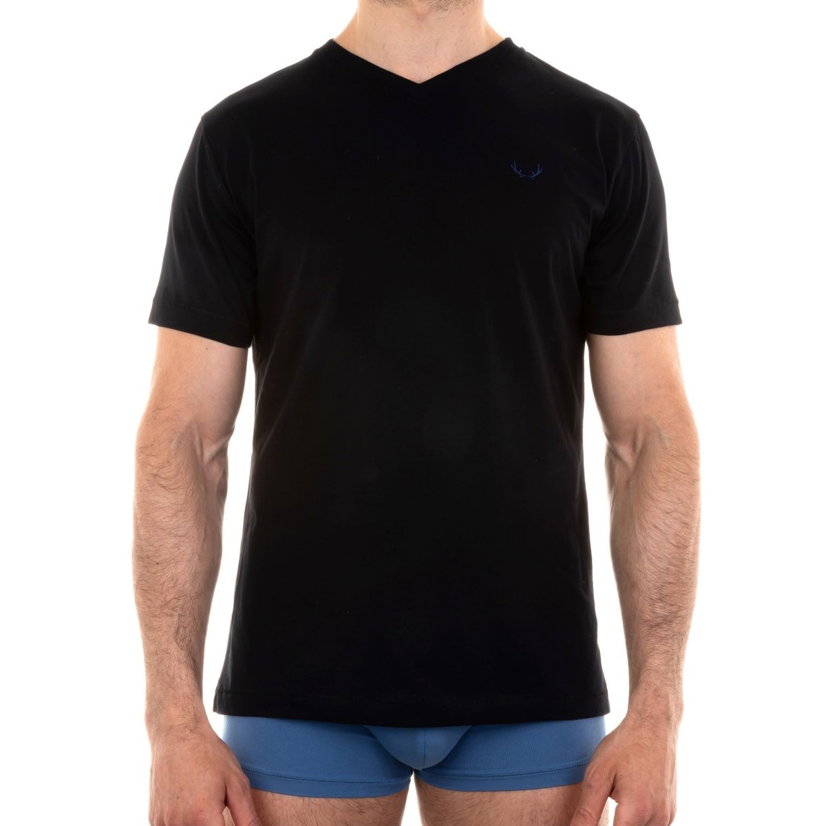 T - shirt homme col V noir en coton bio - BLUEBUCK